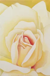 La Rose, 2002